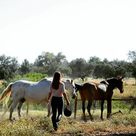 Quinta Da Saudade Hotel ปอนเต เด ซอร์ ภายนอก รูปภาพ