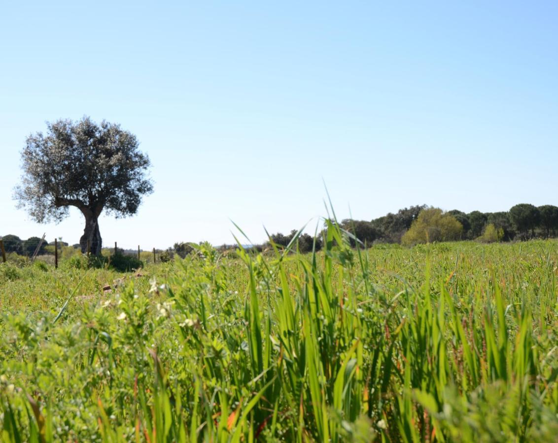 Quinta Da Saudade Hotel ปอนเต เด ซอร์ ภายนอก รูปภาพ