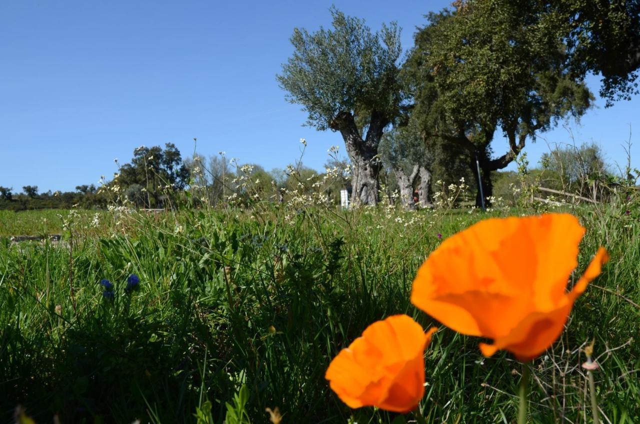 Quinta Da Saudade Hotel ปอนเต เด ซอร์ ภายนอก รูปภาพ