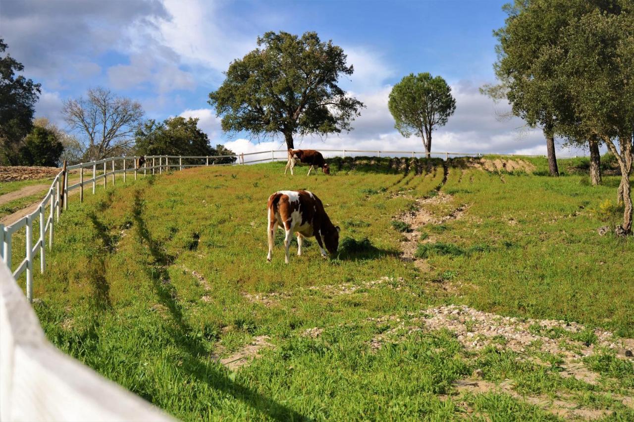 Quinta Da Saudade Hotel ปอนเต เด ซอร์ ภายนอก รูปภาพ