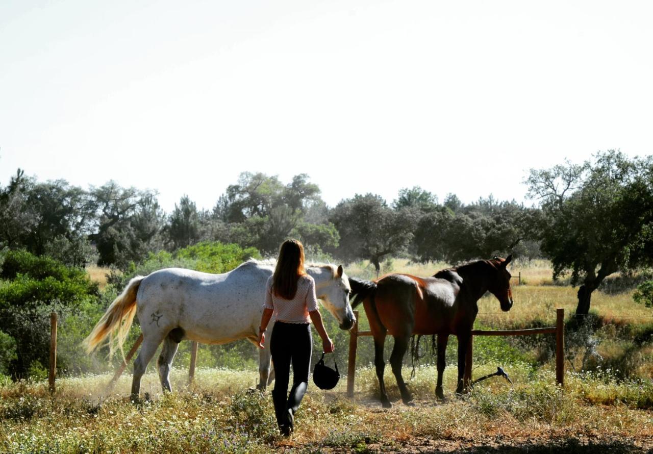 Quinta Da Saudade Hotel ปอนเต เด ซอร์ ภายนอก รูปภาพ