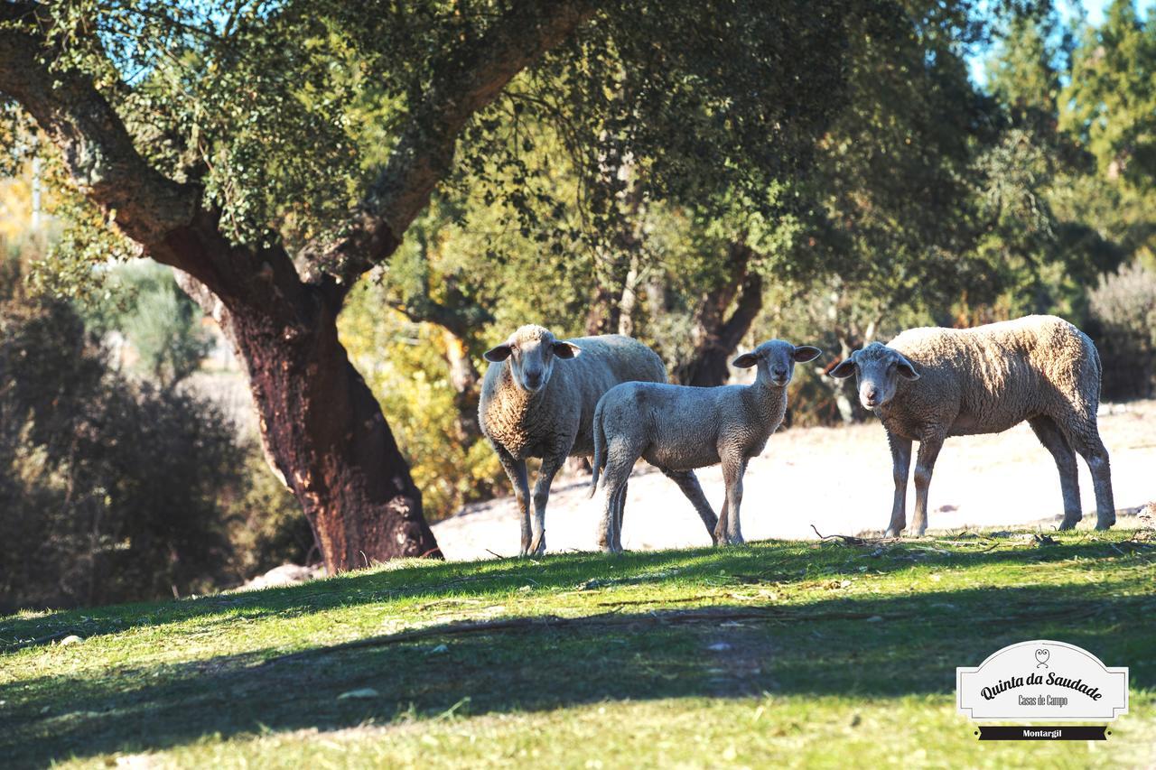 Quinta Da Saudade Hotel ปอนเต เด ซอร์ ภายนอก รูปภาพ